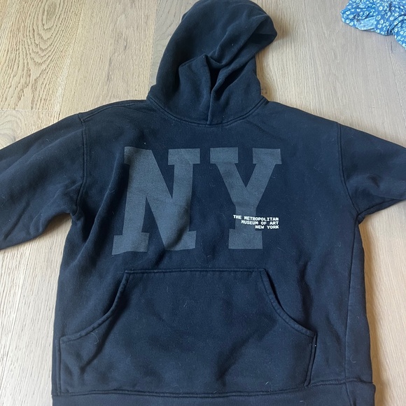 PACSUN x the MET Sweatshirt - Picture 1 of 4